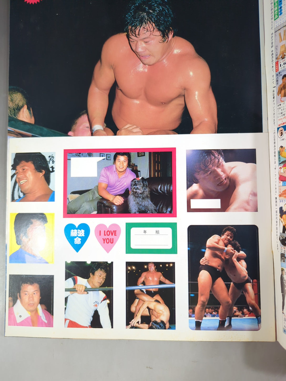 プロレスアルバム64 いまこそ､絶対藤波辰巳