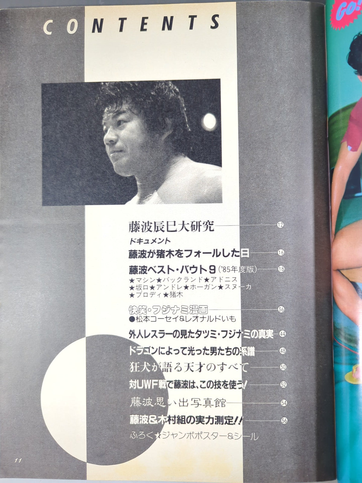 プロレスアルバム64 いまこそ､絶対藤波辰巳
