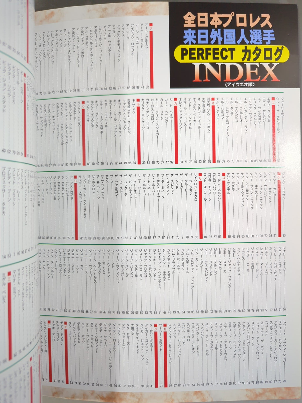 Gong Special Issue All Japan Pro Wrestling  Foreigners Visiting Japan fighters  PERFECT brochure
