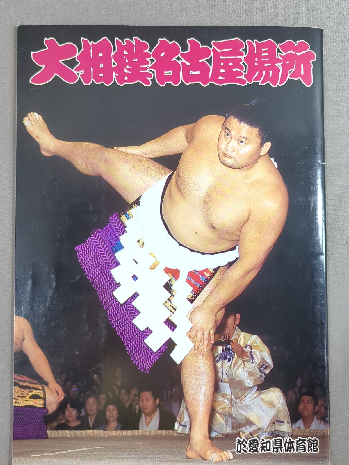 Nagoya Grand Sumo Tournament (1996)