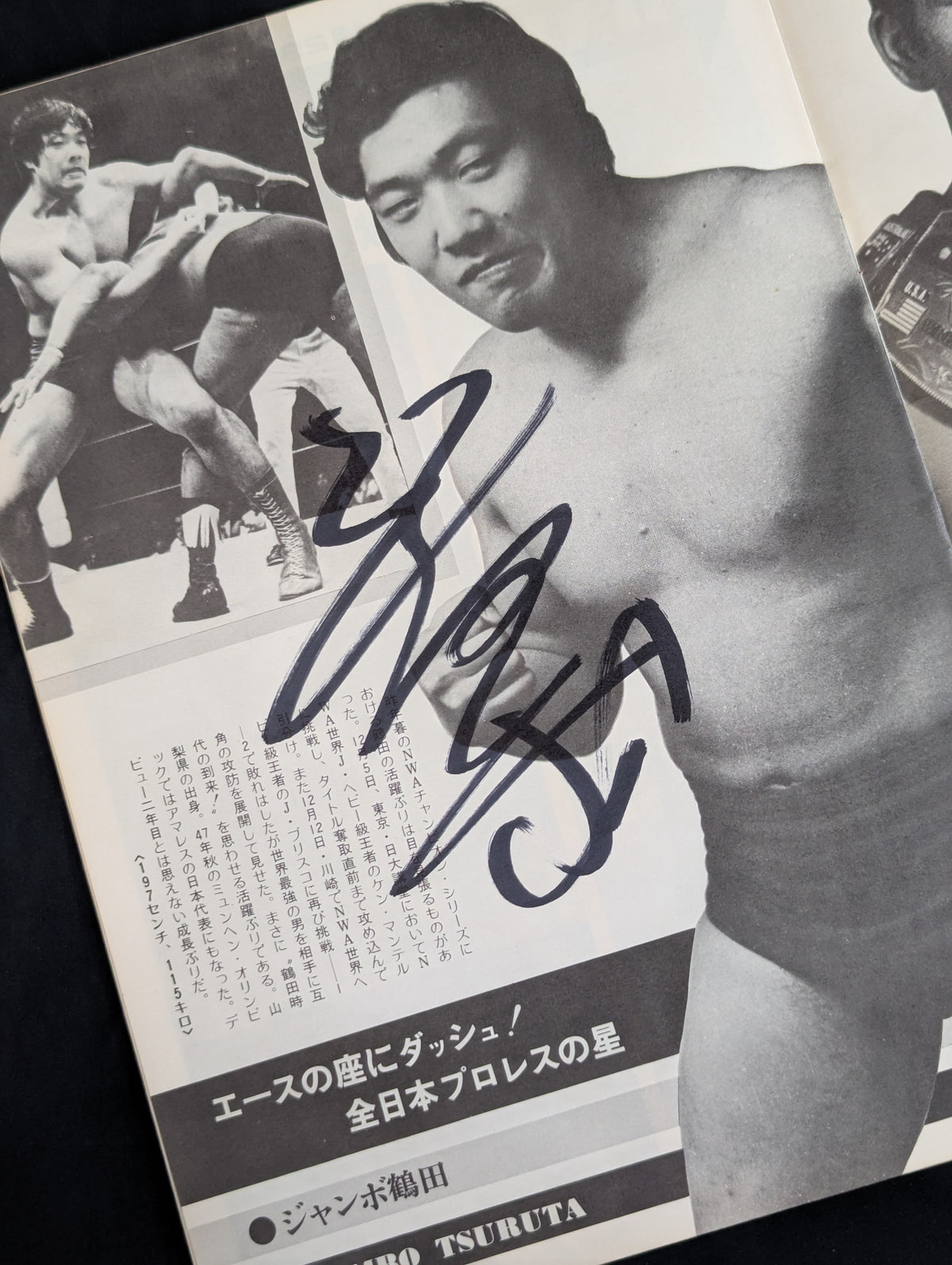 [12 fighters hand signed autograph ・Includes 3 photos] 75 New Year Series