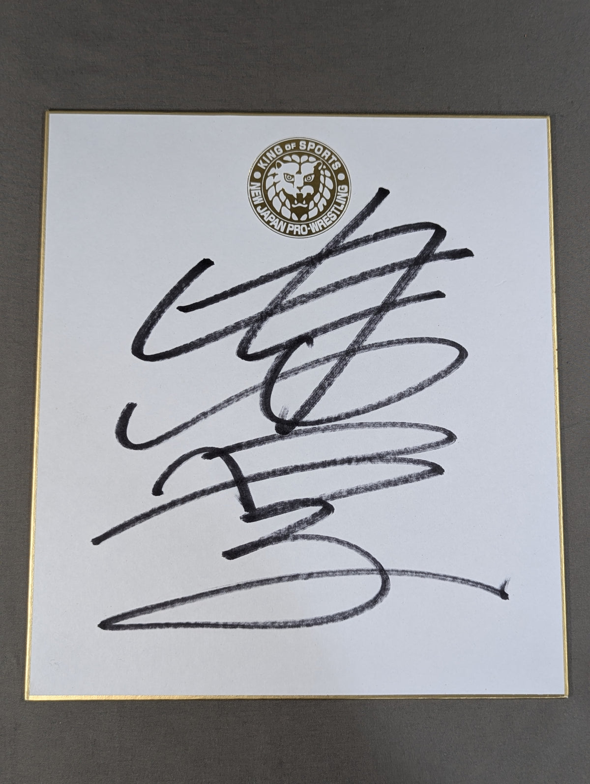 Manabu Nakanishi (Lion Mark ) Shikishi ( Autograph board ) )