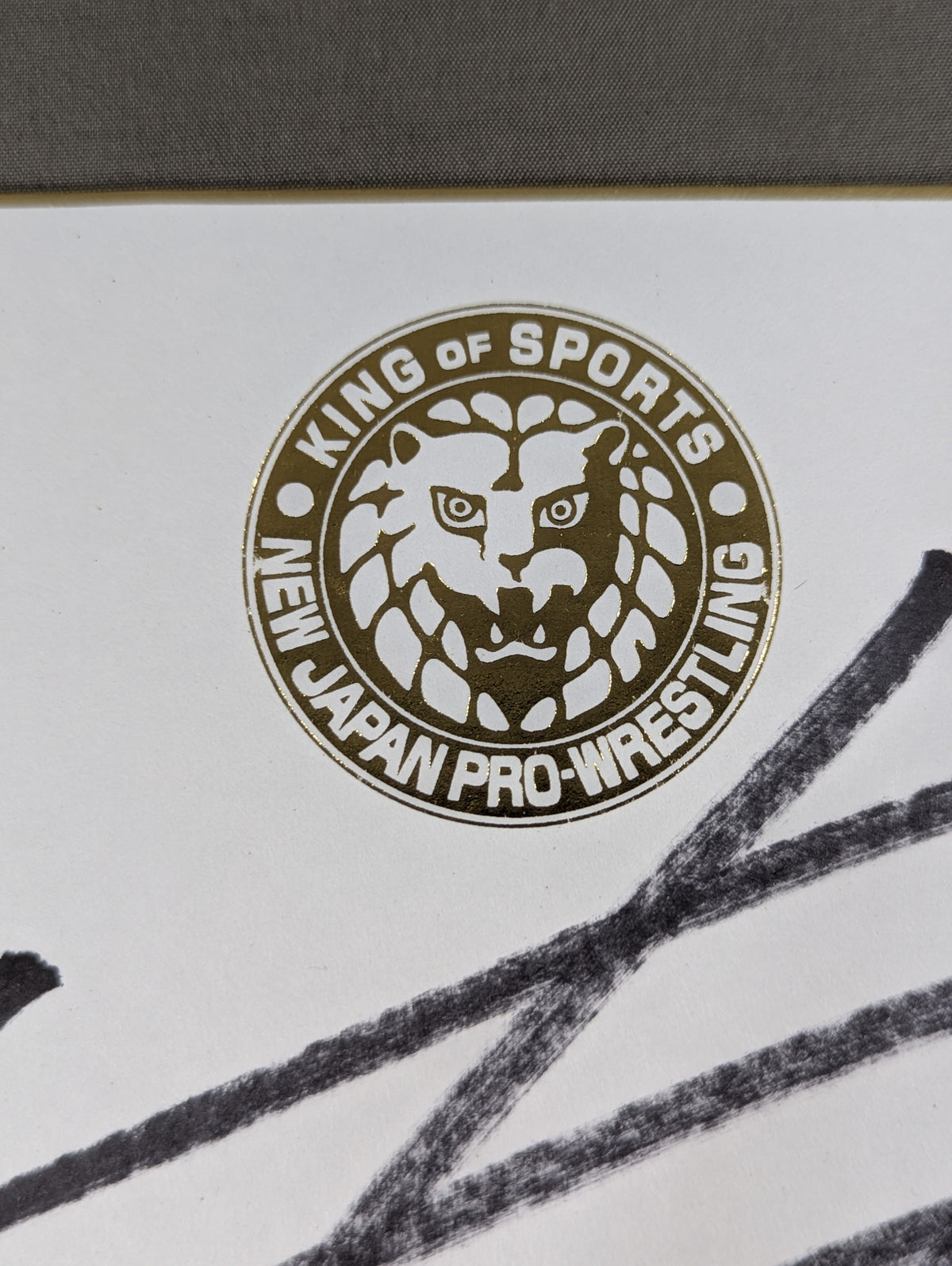 Manabu Nakanishi (Lion Mark ) Shikishi ( Autograph board ) )