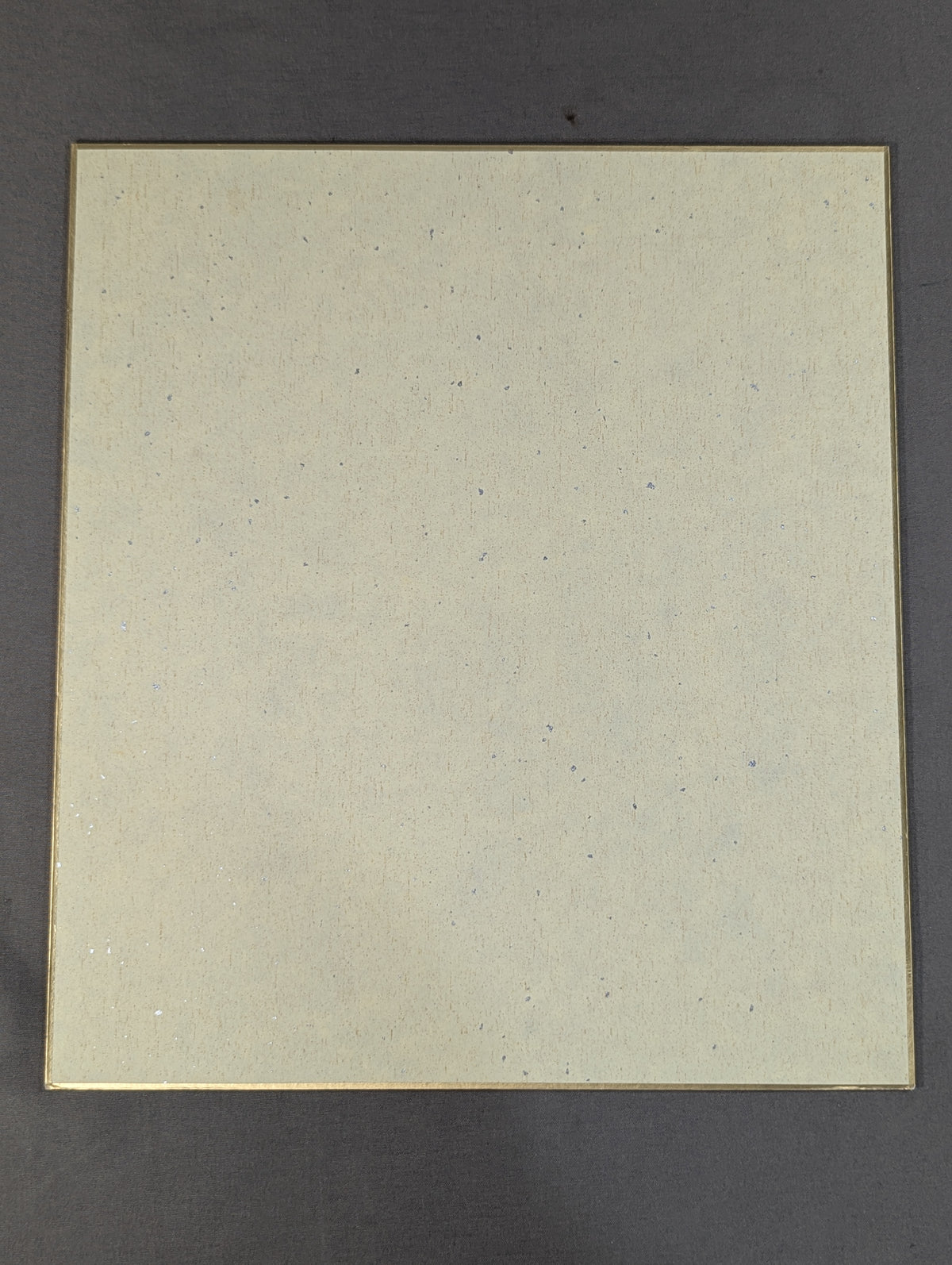 Manabu Nakanishi (Lion Mark ) Shikishi ( Autograph board ) )