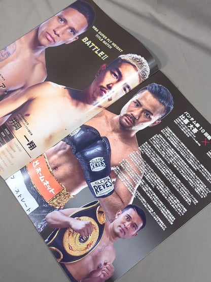LIFETIME BOXING FIGHTS 15