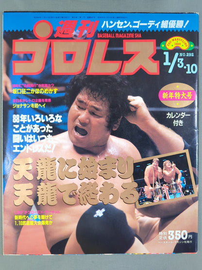 Weekly Pro Wrestling 292
