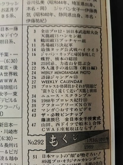 Weekly Pro Wrestling 292