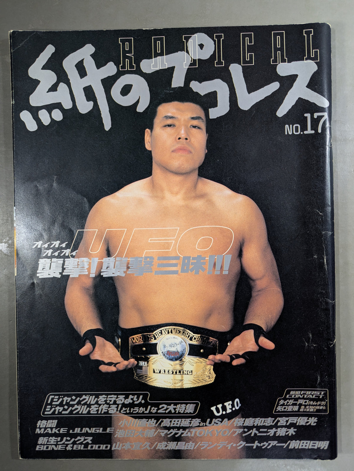 紙のプロレスRADICAL17