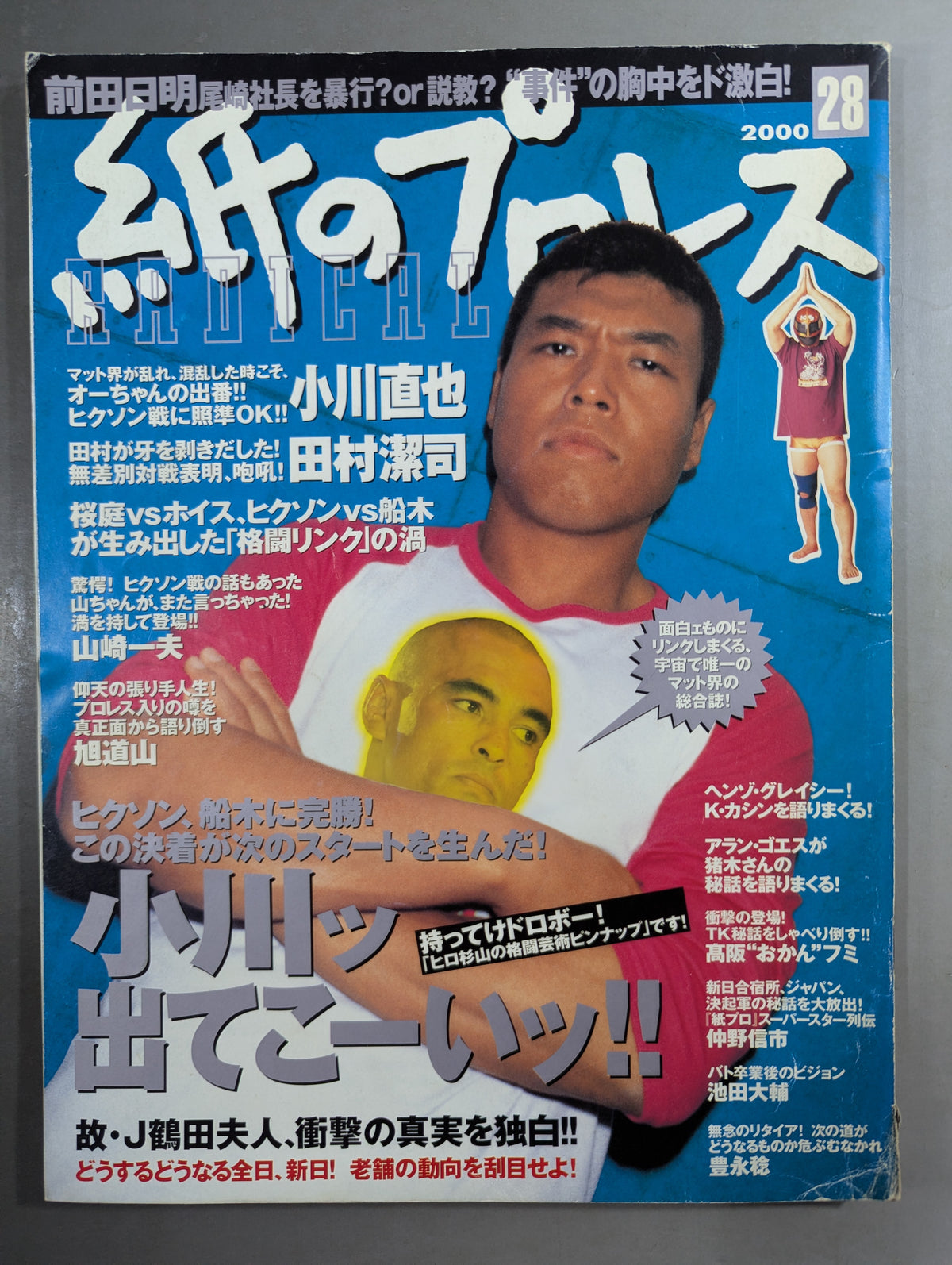 paper Pro Wrestling RADICAL28