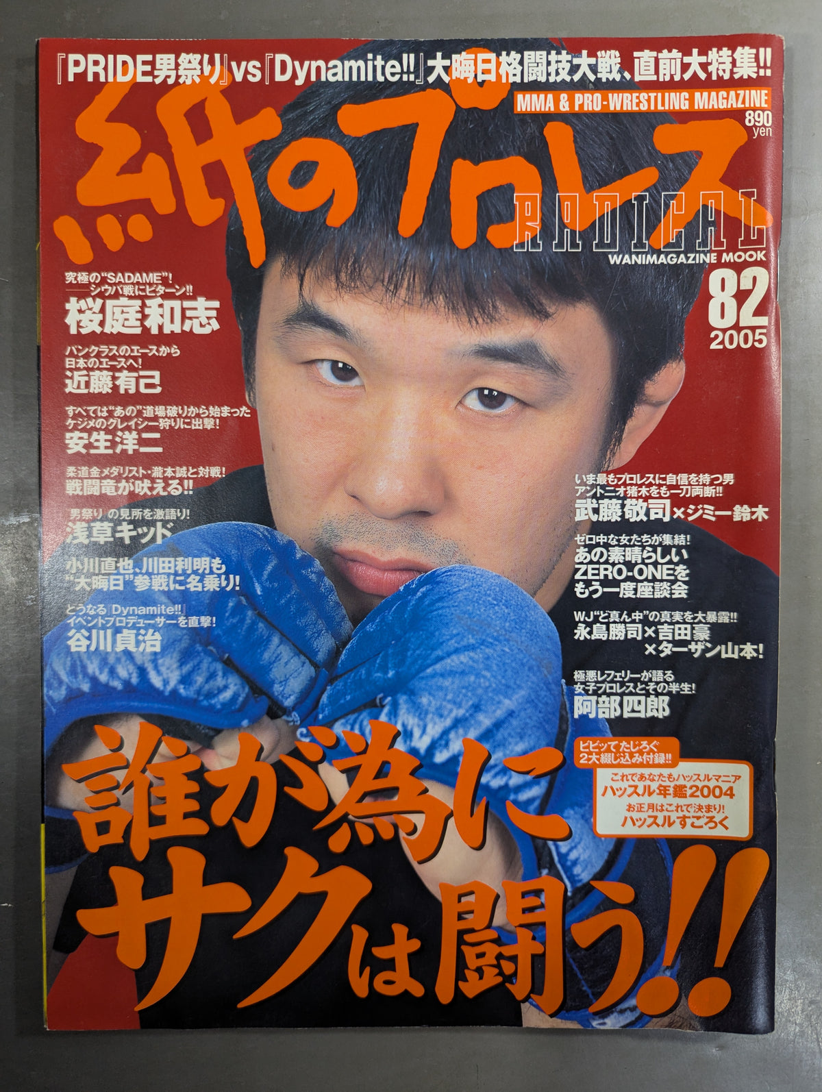 paper Pro Wrestling RADICAL82