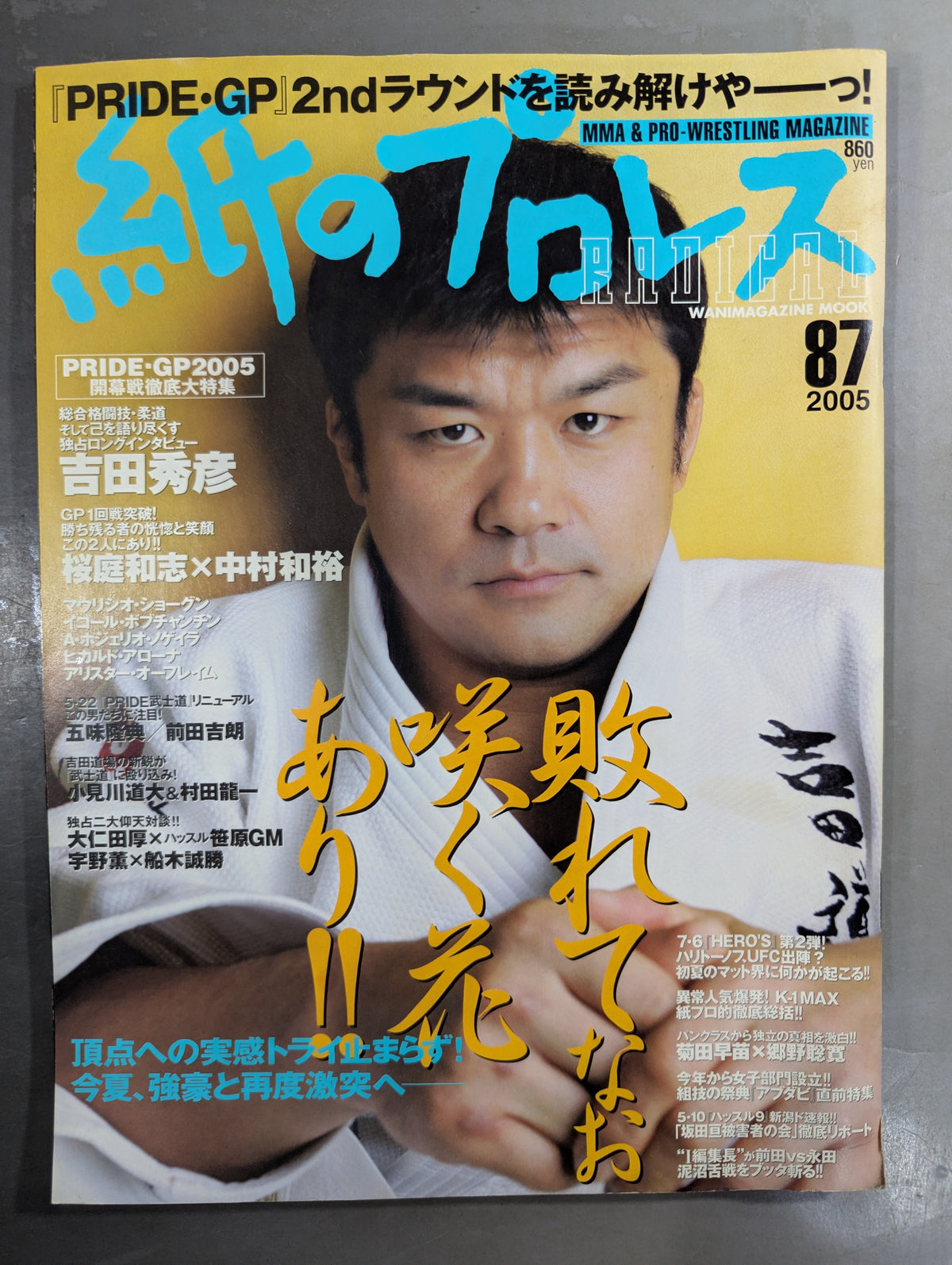 paper Pro Wrestling RADICAL87