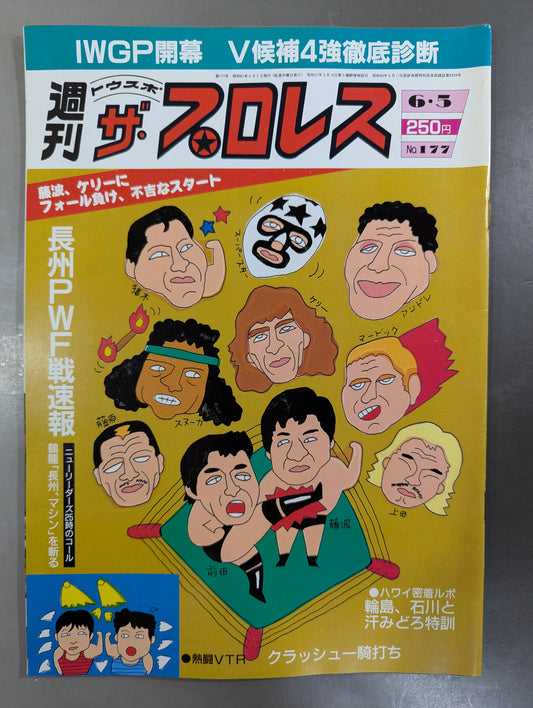 Weekly The Pro Wrestling 177