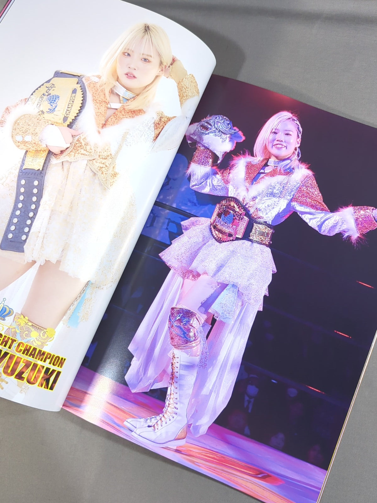 MARIGOLD GUIDE BOOK Vol.9