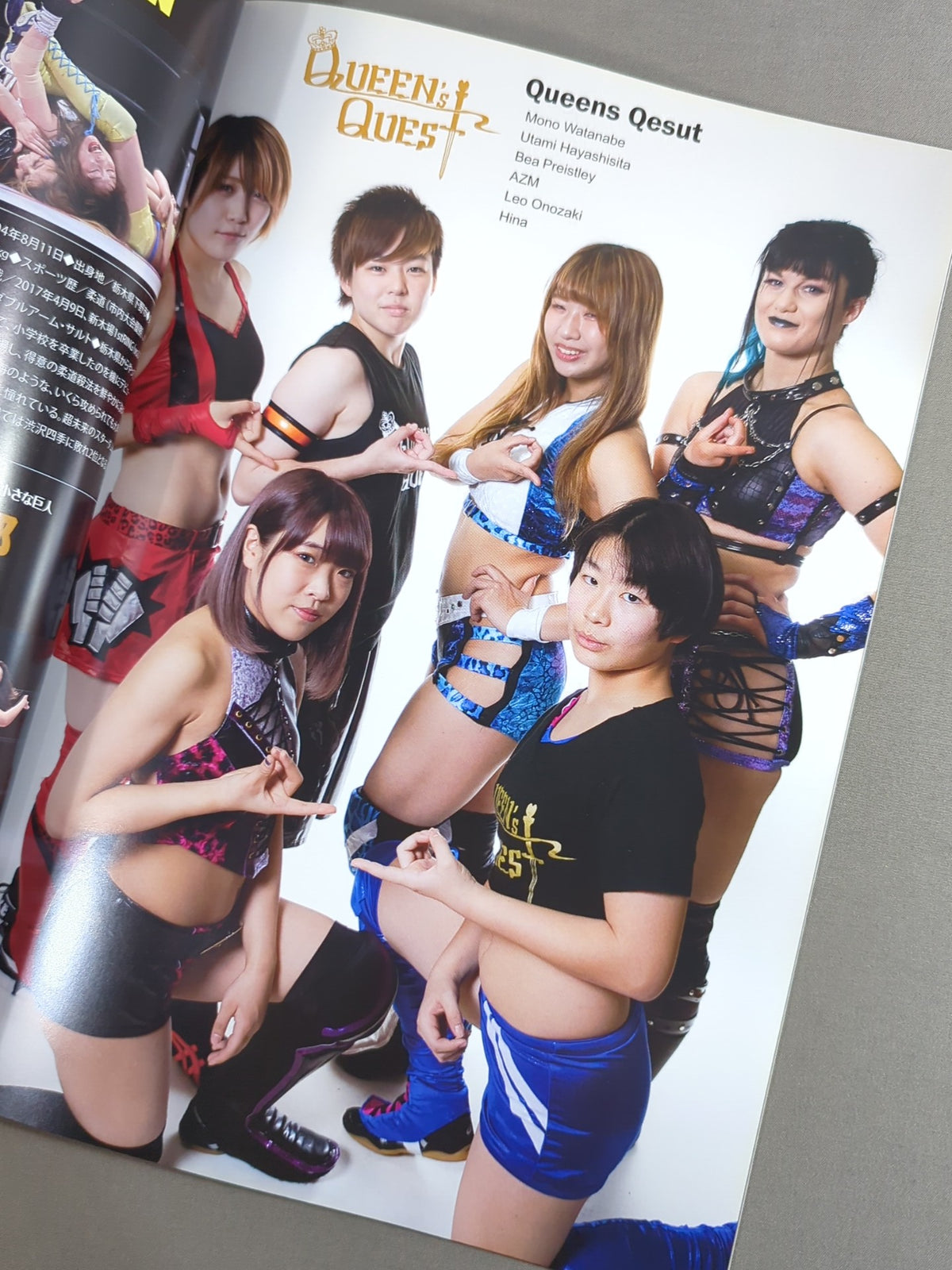 STARDOM OFFICIAL GUIDE BOOK Vol.121