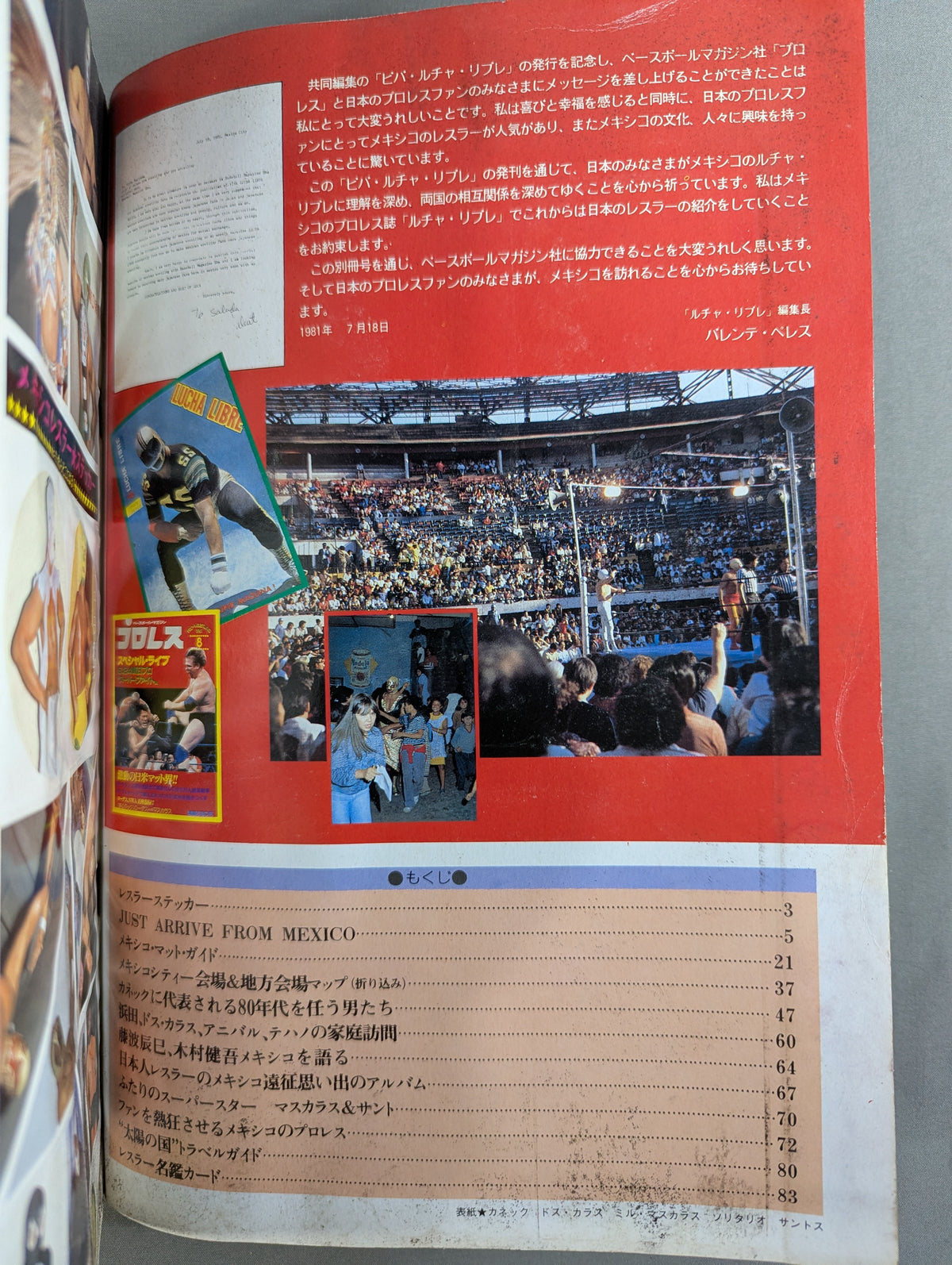 週刊プロレス別冊4 ｢VIVA! LUCHA LIBRE ビバ! ルチャ・リブレ｣