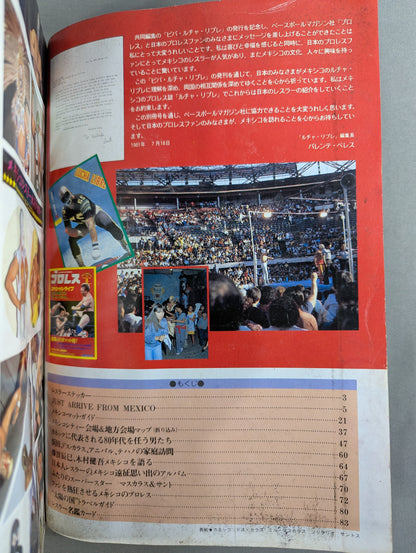 週刊プロレス別冊4 ｢VIVA! LUCHA LIBRE ビバ! ルチャ・リブレ｣