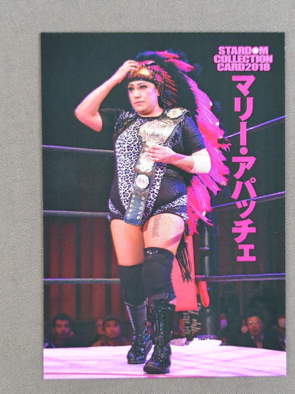 2018 STARDOM COLLECTION CARD マリー・アパッチェ(133)