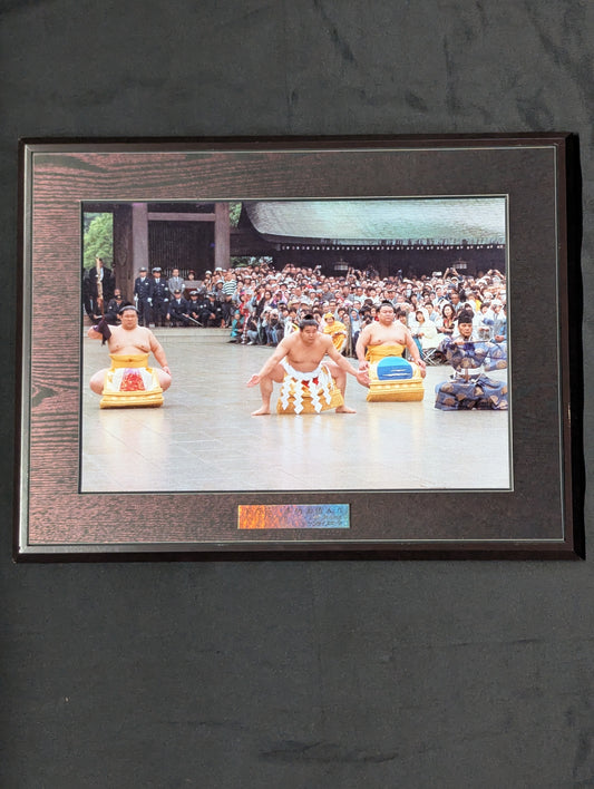 若乃花 奉納土俵入り 写真パネル(サンケイスポーツ)