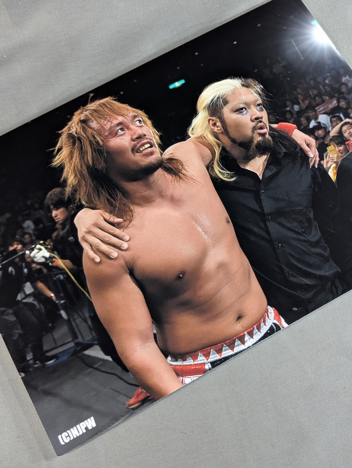Tetsuya Naito & EVIL Special A4 Panel