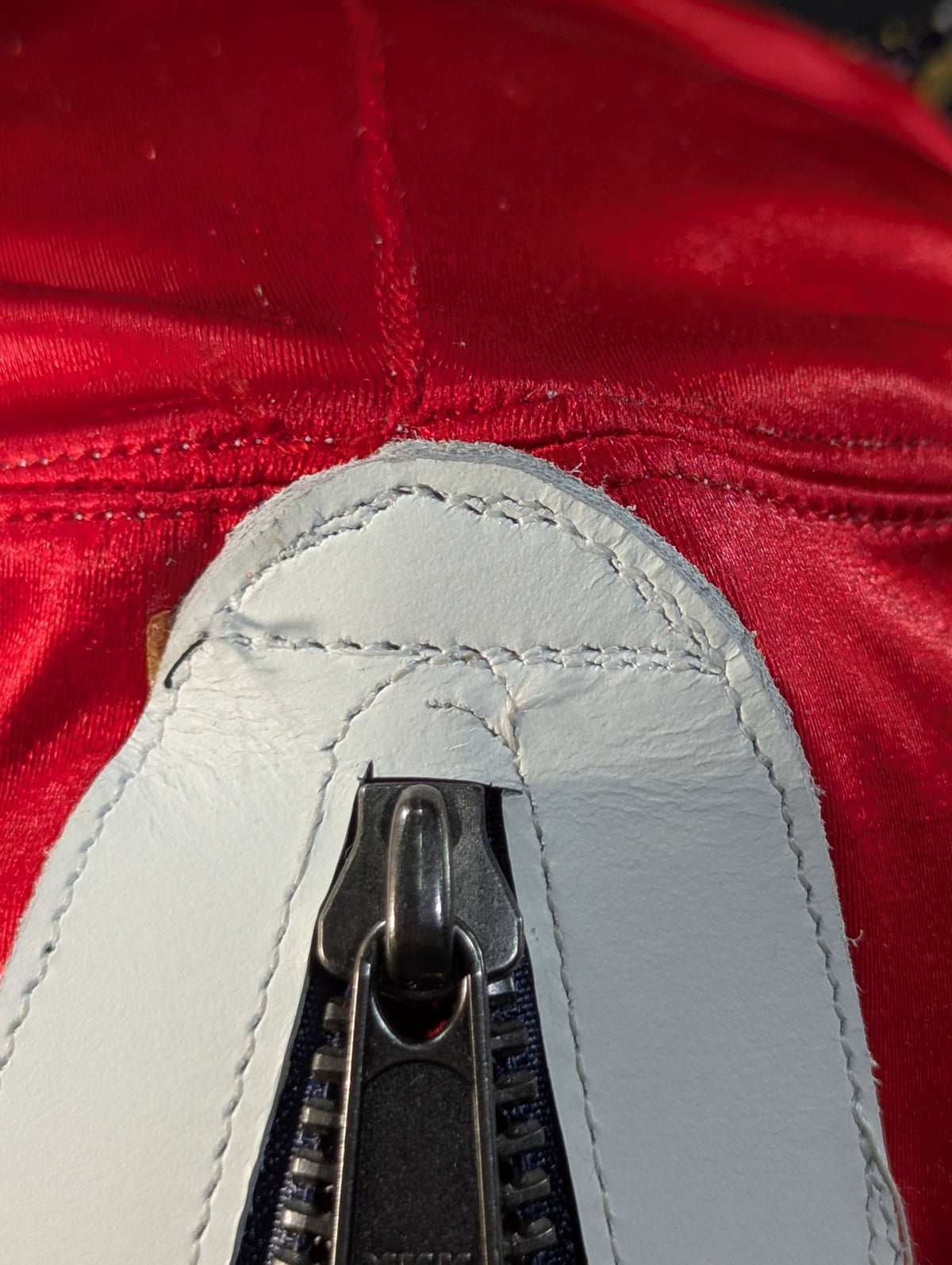 獣神サンダー・ライガー