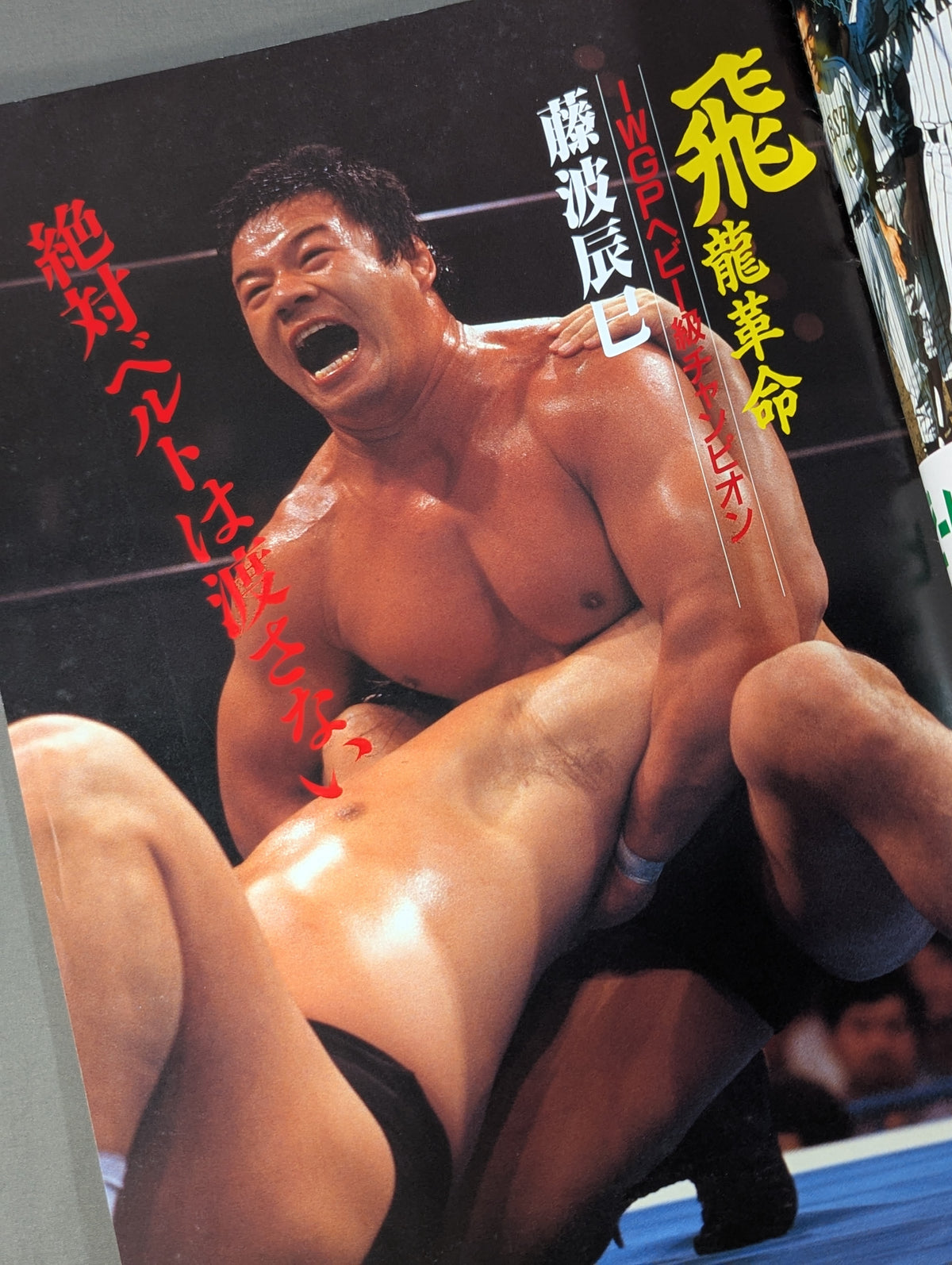 サマーファイト・イン有明