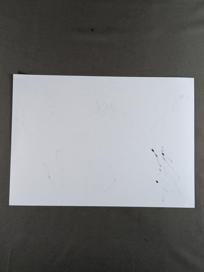 ★LIDET UWF★ 6選手寄せ書き(専用用紙)