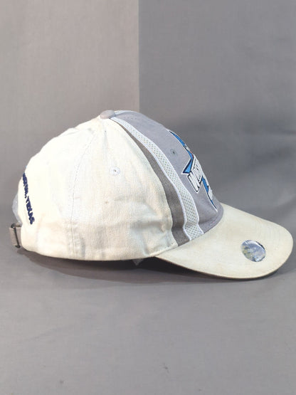 WRESTLEMANIA 25 Cap (2009 (WWE) / White × Gray)
