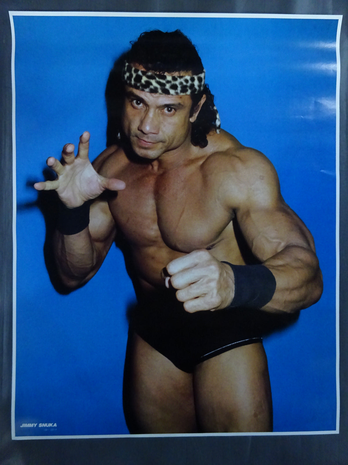 ジミー・スヌーカ GONG JUMBO PIN-UP WRESTLING SELECTION