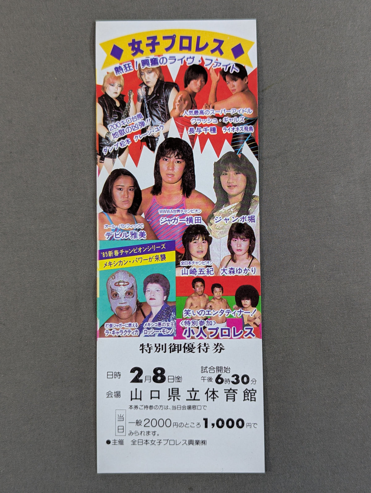 ★熱狂！興奮のライブ・ファイト★ 全日本女子プロレス 山口県立体育館大会 特別御優待券