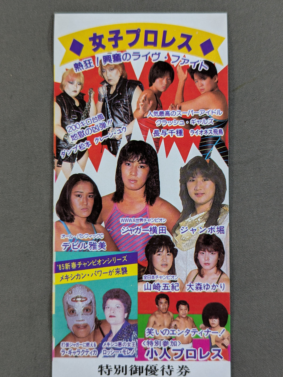 ★熱狂！興奮のライブ・ファイト★ 全日本女子プロレス 山口県立体育館大会 特別御優待券