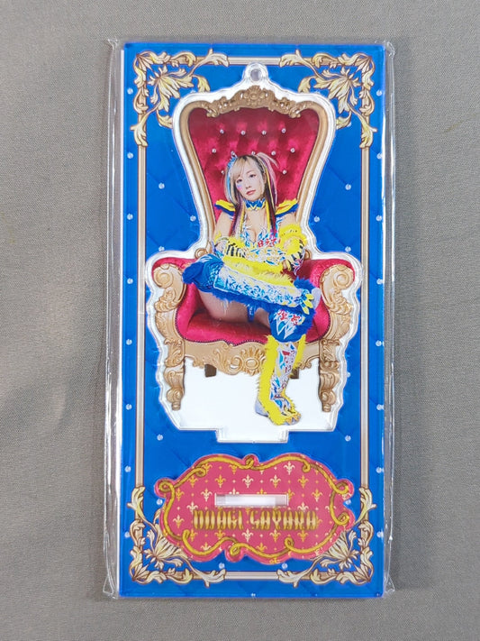 ウナギ・サヤカ アクリルスタンドキーホルダー②