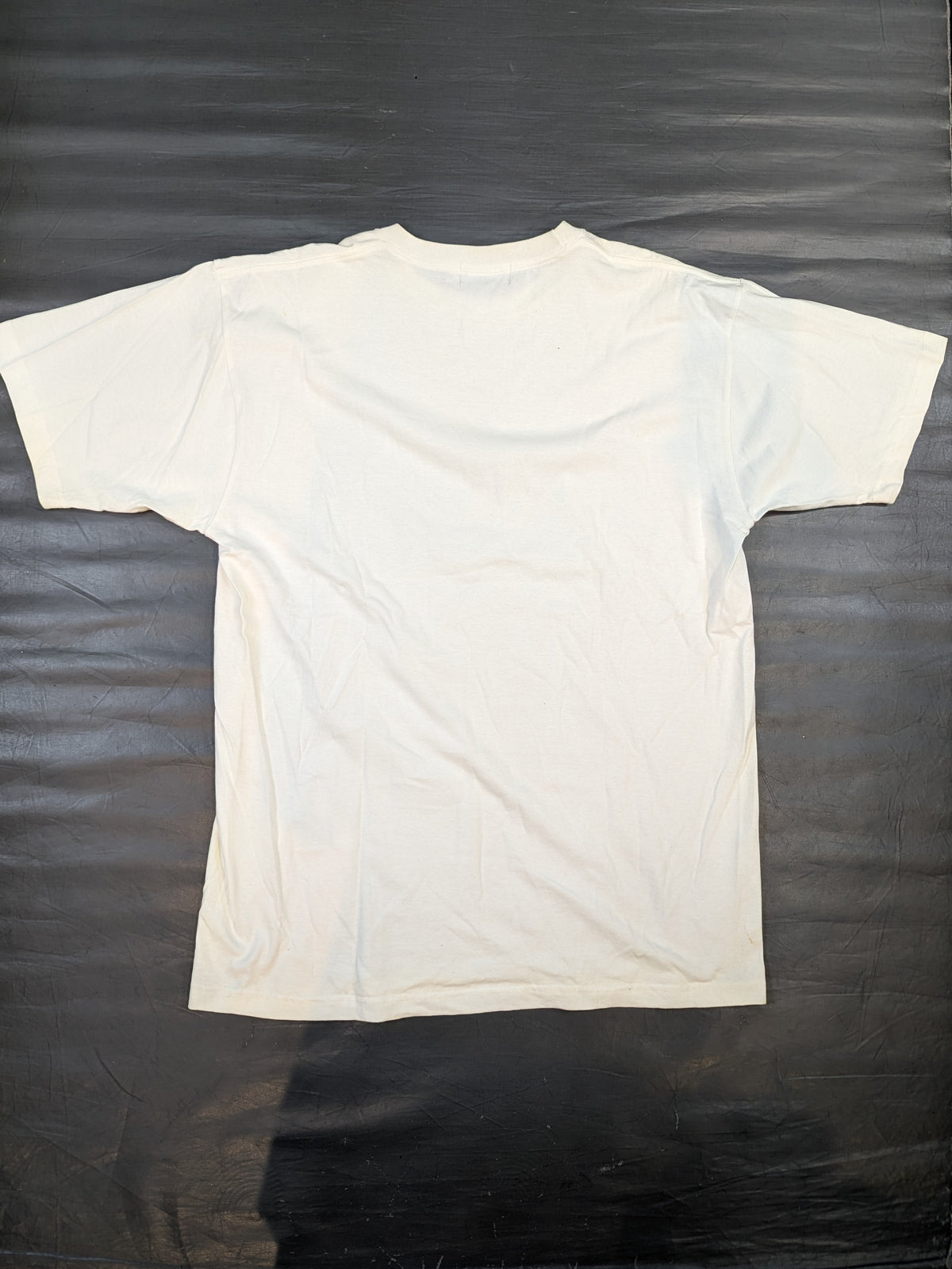 三沢光晴「GREAT VOYAGE’09」フォトTシャツ
