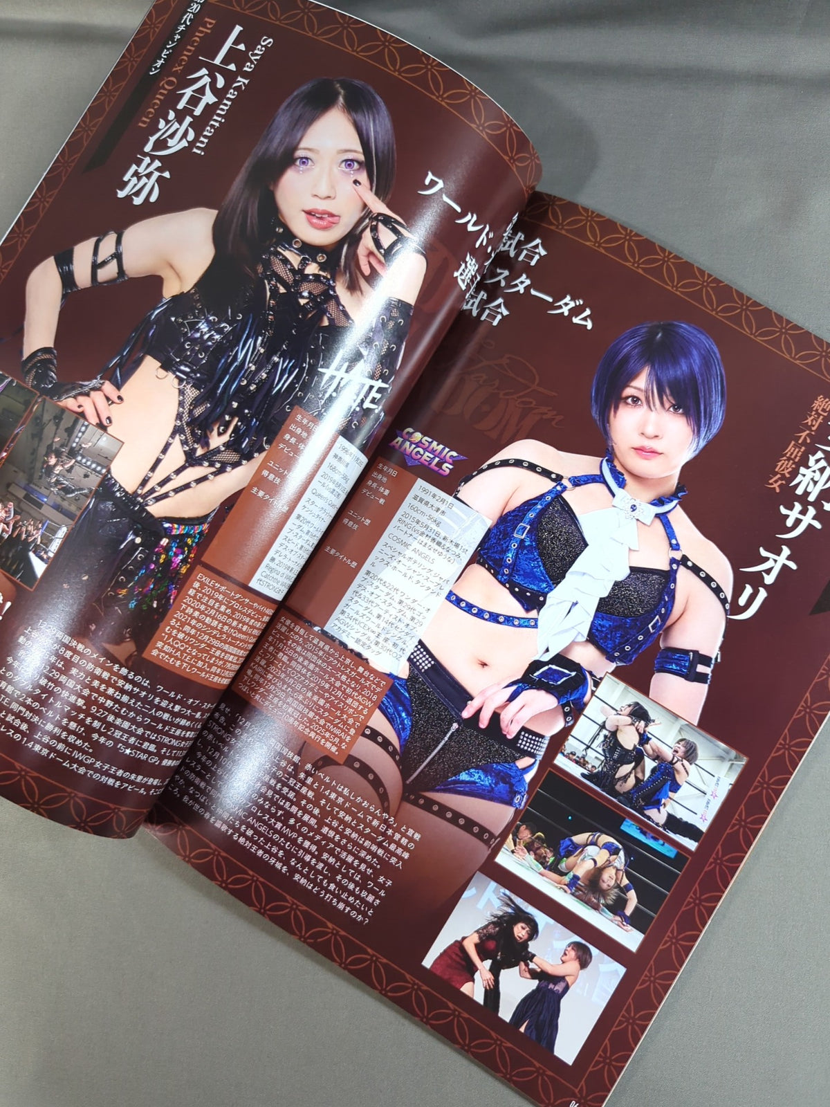 STARDOM DREAM QUEENDOM 2025 / OFFICIAL GUIDE BOOK Vol.157