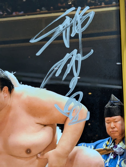 ★BBM Limited 100★ 72nd Yokozuna Kisenosato Hiroshi Retirement Commemorative hand signed autograph Photo panel (double type)