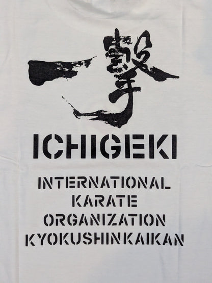 Kyokushin  T-Shirt (3) (White)