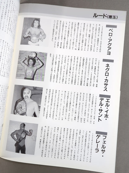LUCHA MANIA / ルチャマニア 第2号(Vol.2)