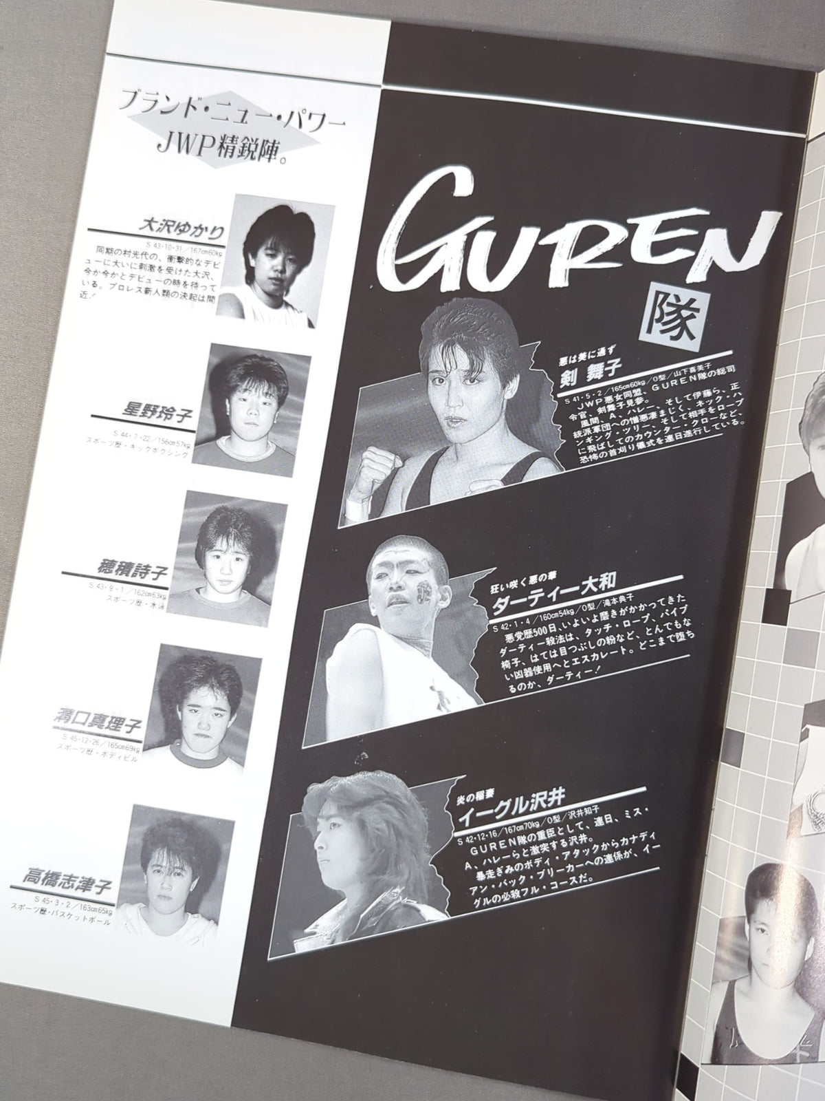 Japan Women's Pro Wrestling / The JWP Vol.2