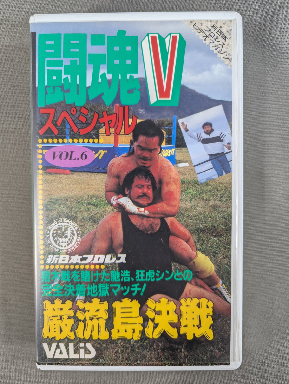 闘魂Vスペシャル Vol.6 ★馳浩vsタイガー・ジェット・シン 巌流島決戦★