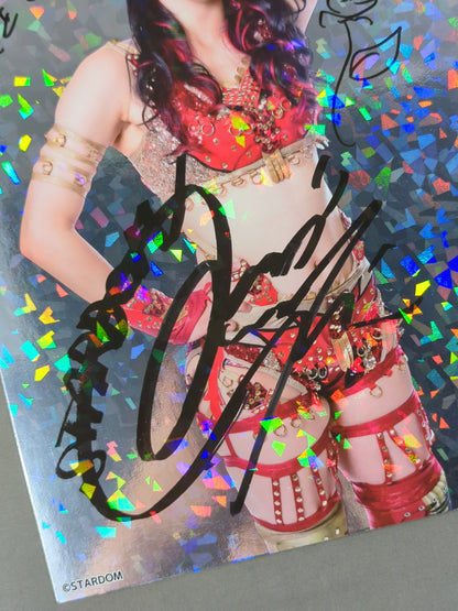 Utami Hayashishita Glitter Pro-Photo (1)