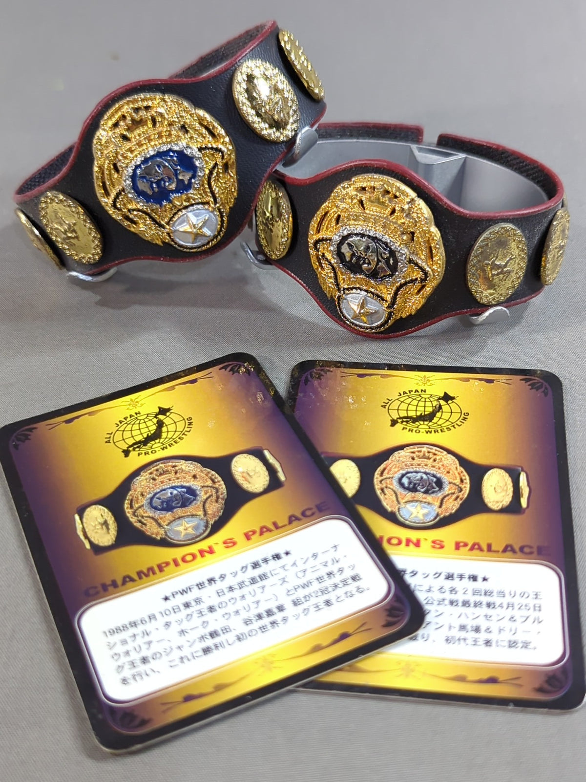PWF Certified World Tag Team Champion Belt