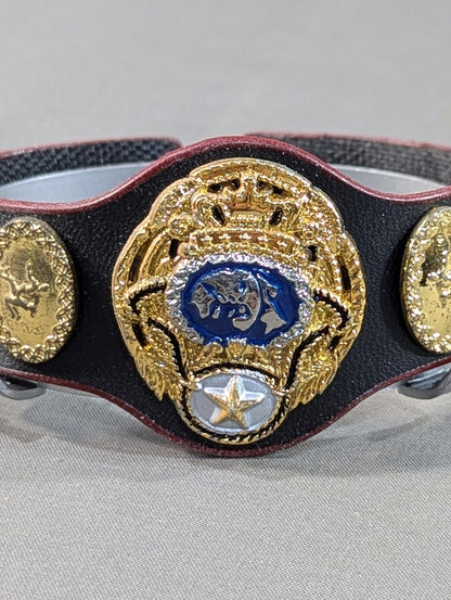 PWF Certified World Tag Team Champion Belt