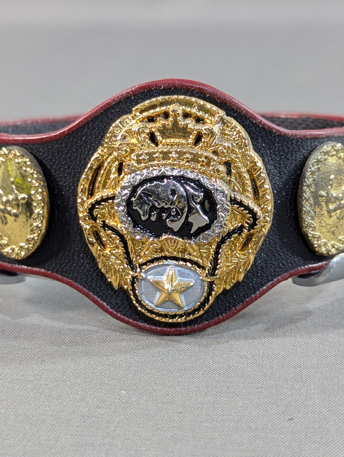 PWF Certified World Tag Team Champion Belt