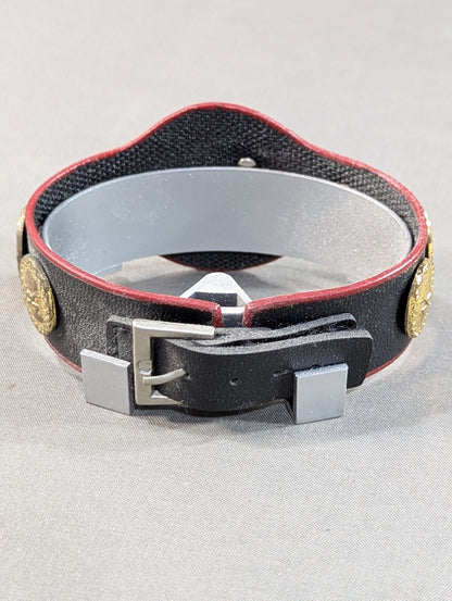 PWF Certified World Tag Team Champion Belt