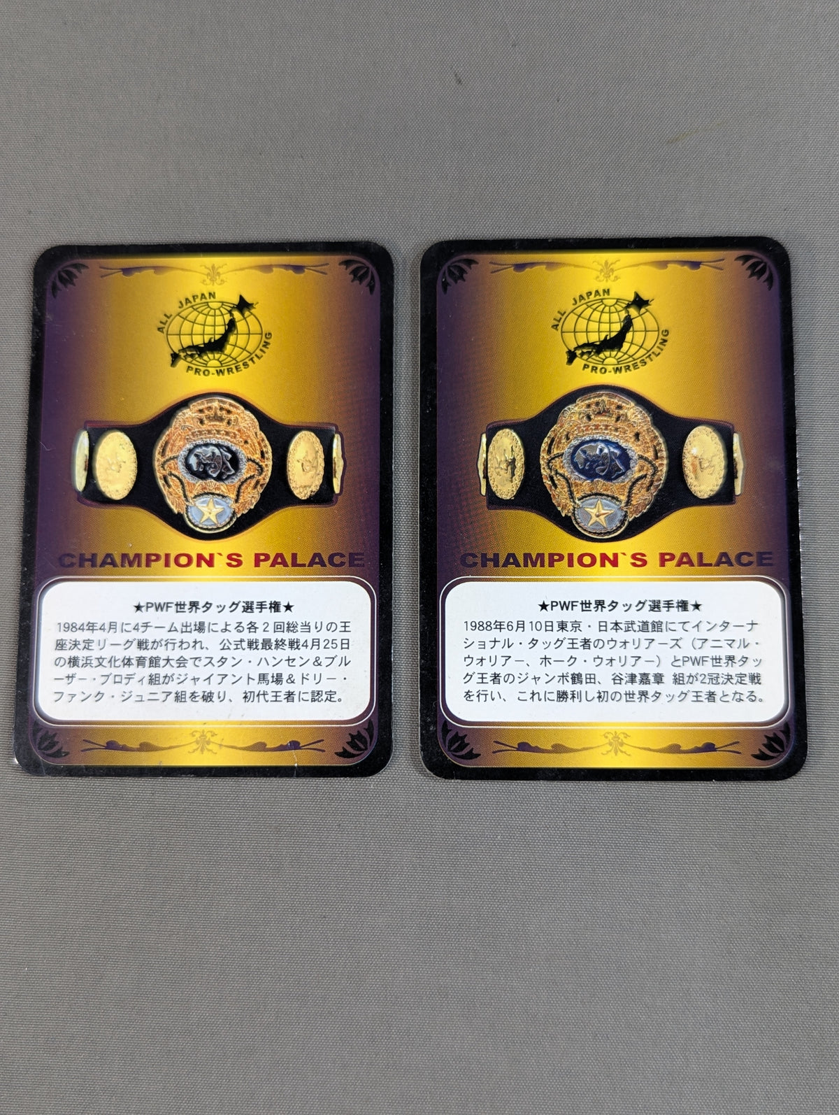 PWF Certified World Tag Team Champion Belt