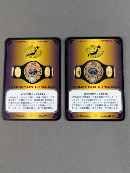 PWF Certified World Tag Team Champion Belt