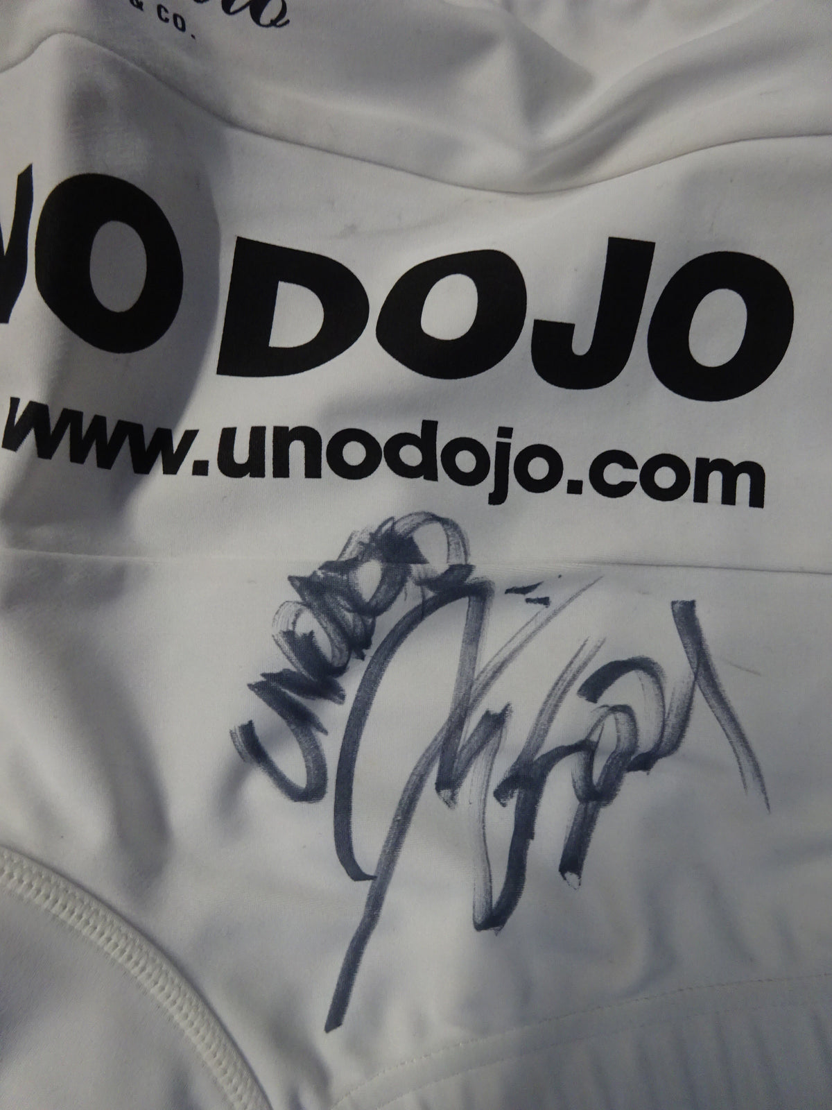 Kaoru ★Uno Around 2014 VTJ and others worn by him !! ★