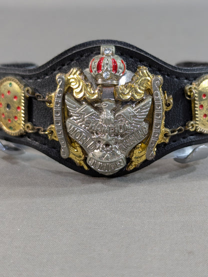 International Heavyweight Championship Belt