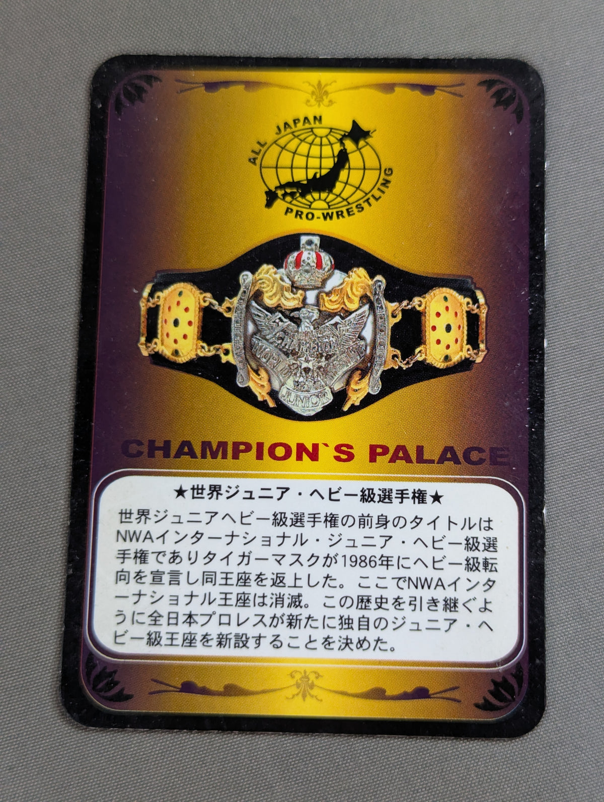 World Junior Heavyweight Championship Belt