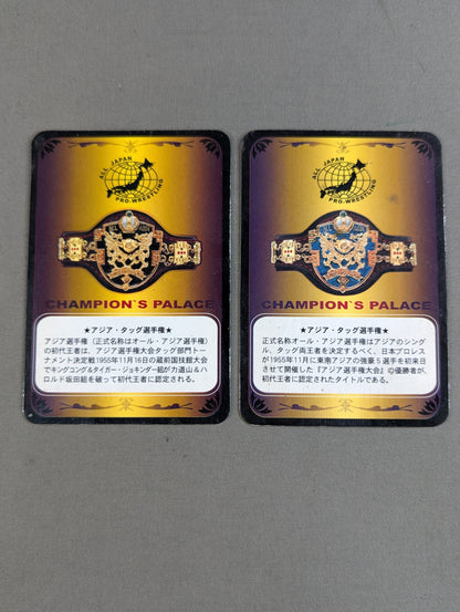 Asian Tag Team Champion Belt