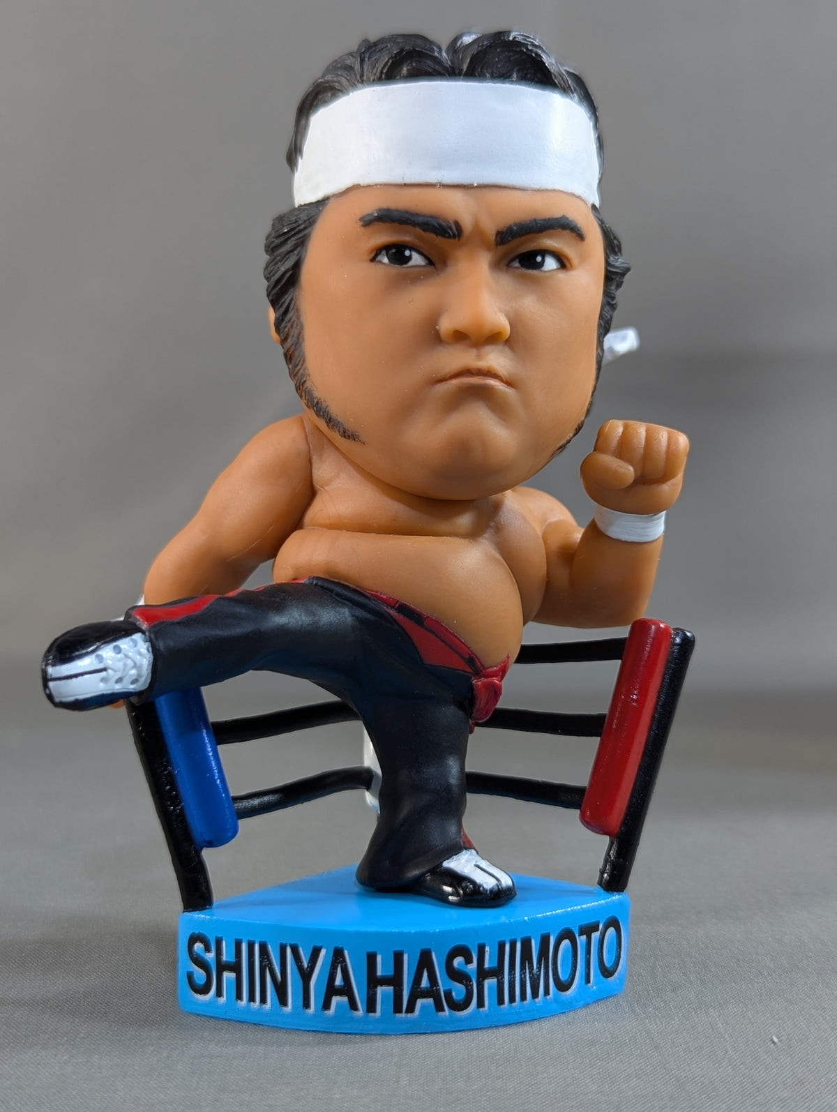 ★BIG HEAD KING FIGHTERS★ Shinya Hashimoto